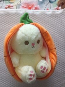 Cute Carrot Pouch plushie toy