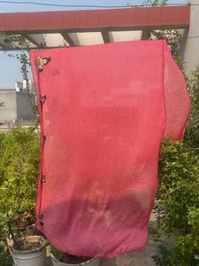 Vibrant Pink Saree with Embellishments