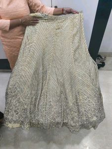 Embellished Ethnic lehenga with blouse