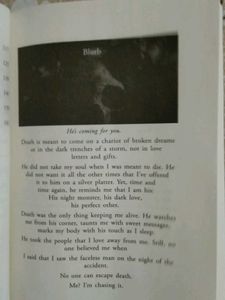 Death's Obsession Book