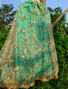 Embroidered Net Skirt