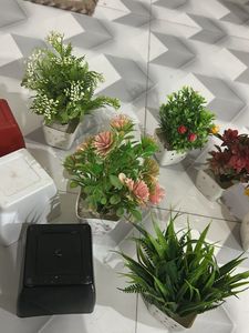 Artificial Plants with Pots