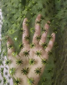 Beautiful Olive Green Kurta
