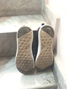 Sparx Sports Shoes