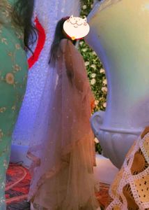 Sparkling Lehenga Choli Set