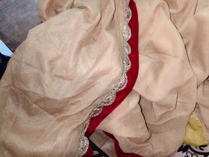 beautiful saree Elegant Ethnic Sare