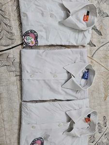 School Uniform White  Shirt (Unisex)Combo of 3