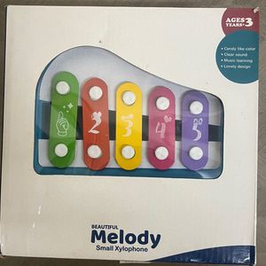 Beautiful Melody Small Xylophone Toy