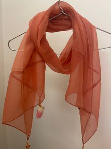 Ladies Stole Worth Tassels And Silver Thread Work