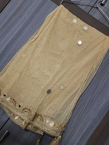 Beige Embroidered net Dupatta