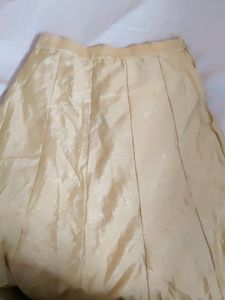 Long Skirt Golden Colour