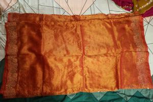 Orange Embellished saree