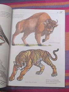 Aesthetics Art - New Edition - Textbook