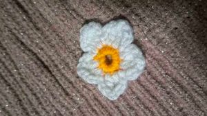 Crochet Flower Appliques