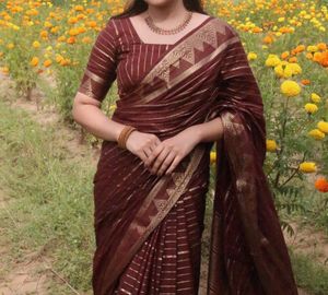 Seematti brown saree