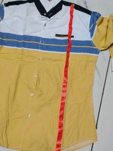 Mens Shirt