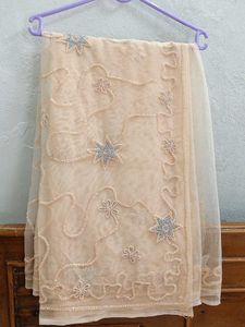 a beautiful intricate peace lehenga