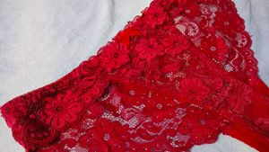 Red Lace Briefs