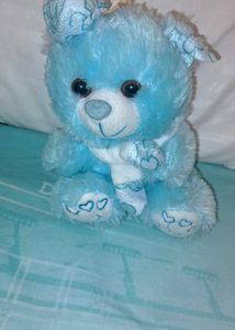 Adorable Blue Teddy Bear