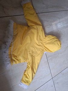 Cute Yellow Jacket