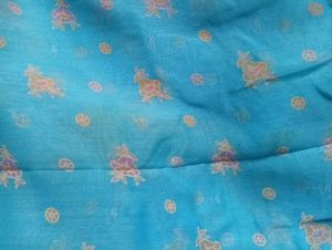Beautiful Blue Saree