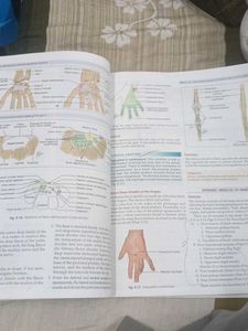 BD Chaurasia's Human Anatomy Vol 1