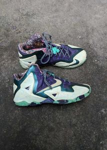 Nike Lebron Sneakers