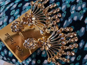 Only Single Time Used Beautiful Design Golden Earrings