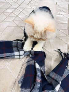 Burberry Cozy Plaid Scarf