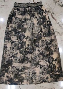 Combo of princess top and skirt