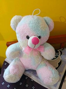 Pastel Teddy Bear
