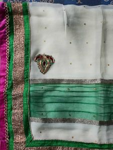 Elegant Embellished Saree