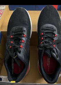 Campus Sports Shoes