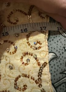 Stunning Sequin top and skirt with dupatta