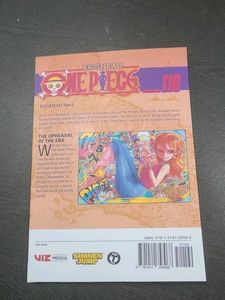 one piece 110 vol