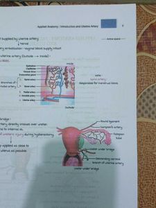 Gynaecology Marrow Edition 8