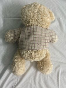 Teddy Bear Premium Quality Plush Toy
