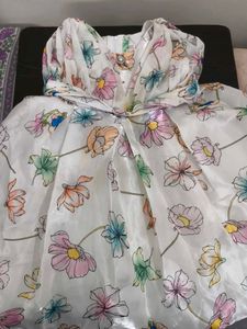 Floral Print Sheer Dress