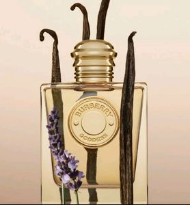 Burberry Perfumes