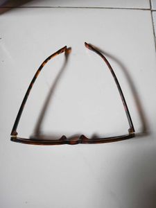 Oval Tortoiseshell Sunglasses