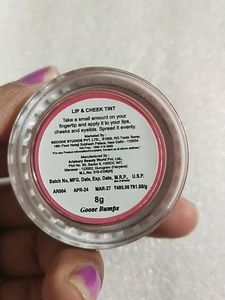 Recode Lip&amp;Cheek Tint -goose Bumps