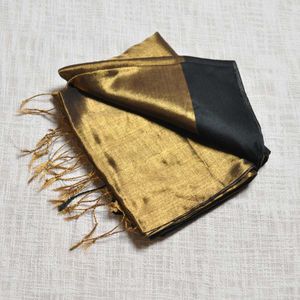 Golden Tissue Cotton Saree with Black Border