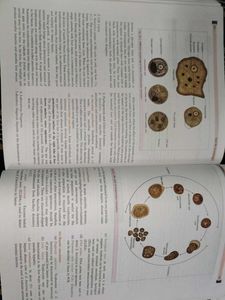 Textbook of Microbiology for Nursing