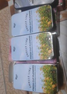 Blur Solid perfume