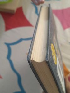 Children's Story Wimpy Kid Book