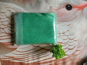 Elegant Sea Green Saree with White Lace