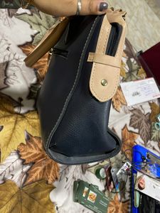 Baggit Handbag 👜
