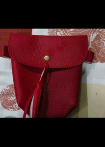 Cute Black Crossbody Bag with Red Flower Combo