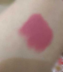 Stylish Matte Lipstick