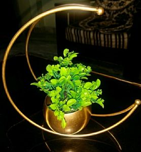 Designer Moon Shape Vase For Hone Pack Of 4